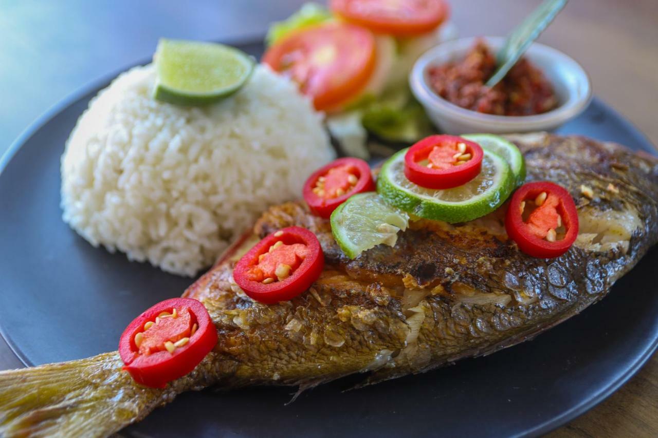 شقة Charlies Shack Lombok كوتا المظهر الخارجي الصورة